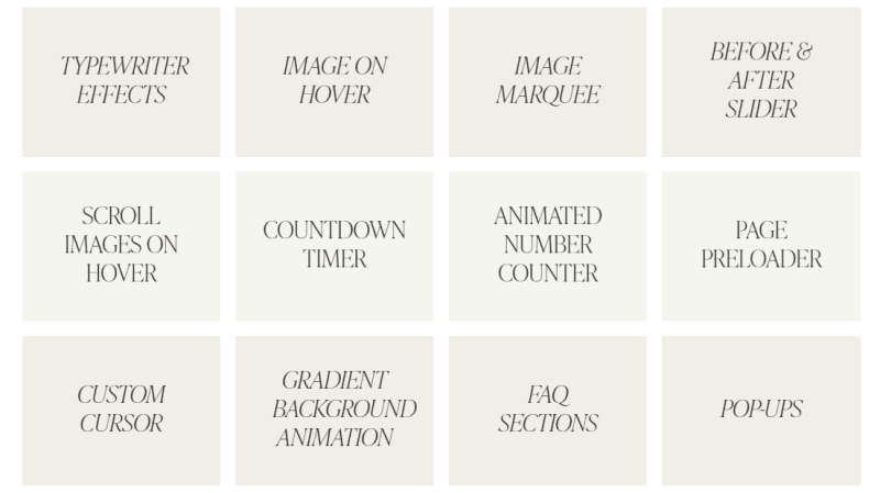 erica carnohan showit shortcuts 6836dcce38a86